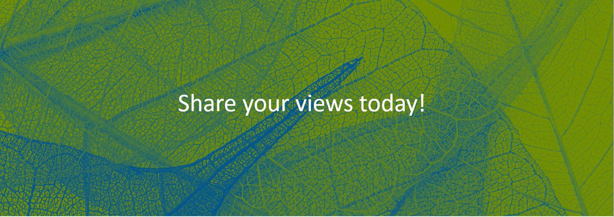 Today, the International Integrated Reporting Council begins the process of modernizing the International &lt;IR&gt; Framework. Over the next 30 days, share your views on select topics and inform the revision process! #integratedreporting bit.ly/2P92MU4