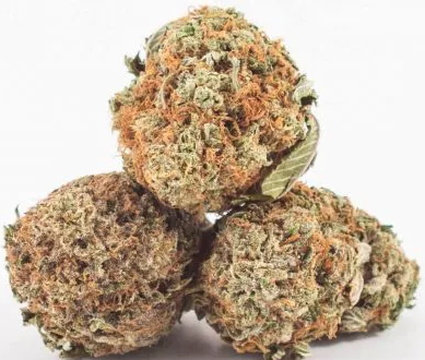 King’s Kush, bred by Green House Seeds, derives from OG Kush and the elusive Grape strain. With gradual but powerful effects, King’s Kush is famous for its potency and shiny trichromes during flowering.  weedonline.com/index.php/prod…