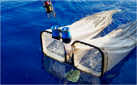 IEOoceanografia's tweet photo. El IEO estudia la conexión entre poblaciones explotadas de peces 🐟 por las flotas de España 🇪🇸 y Marruecos🇲🇦https://t.co/jR9ZLD6jmF https://t.co/5BrOVxAkn6