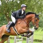 Photo by Falcon Equine Feeds (@FalconEquine)