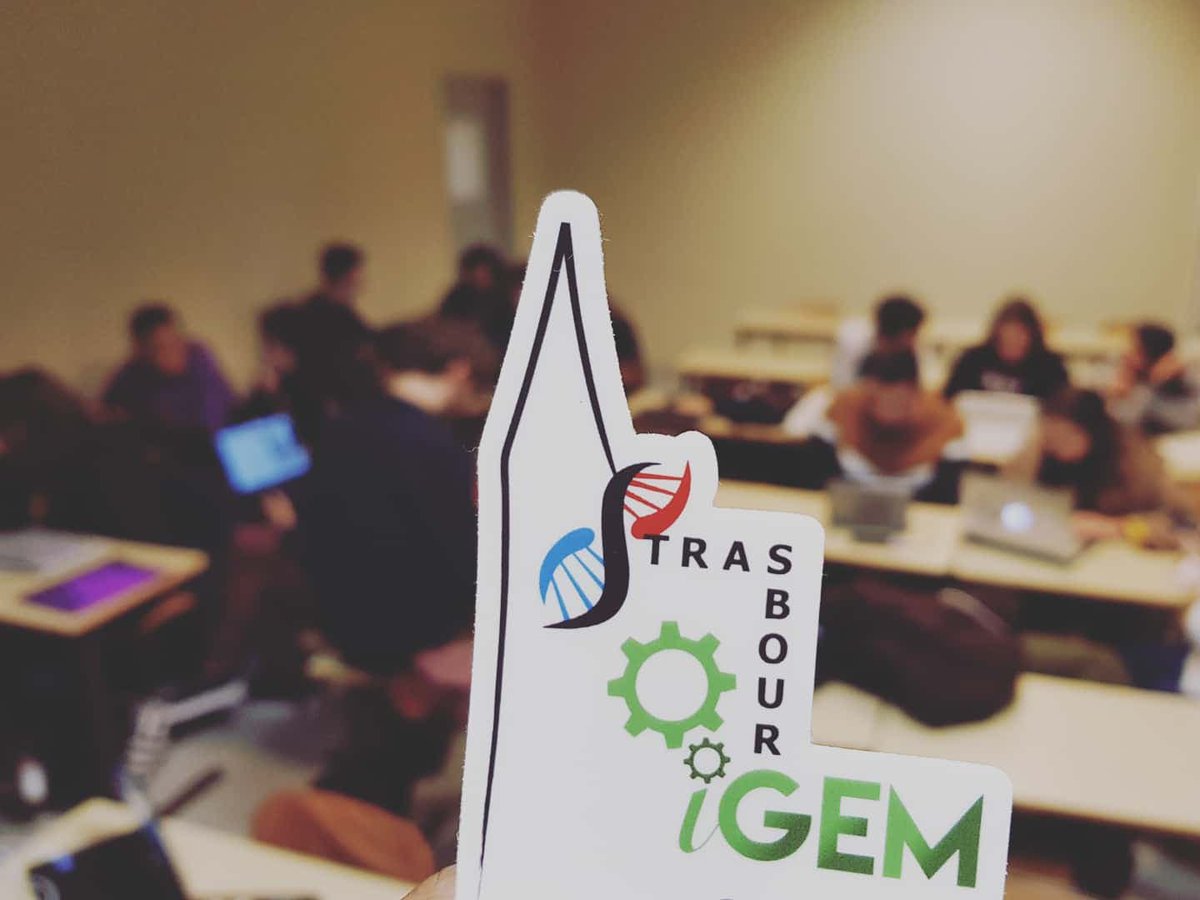 This year’s <a href="/IgemStrasbourg/">iGEM Strasbourg</a> goal is to address the pollution of drinking water problem. We plan to construct a fast and sensitive detection kit, whose function relies on the interaction between a targeted pollutant and a specific aptamer.
#polluant #aptamer #Igem2020 #synbio