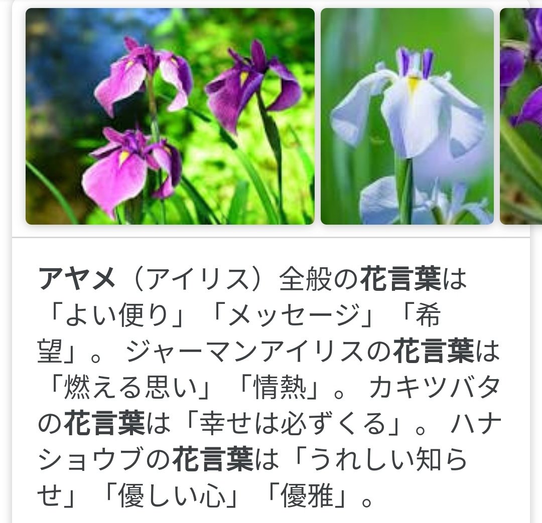 コタ Toman Official アヤメの花言葉 ﾞ希望ﾞ何となく 分かります 表紙の花には意味が込められてるですね T Co Z8mtaqct8f Twitter