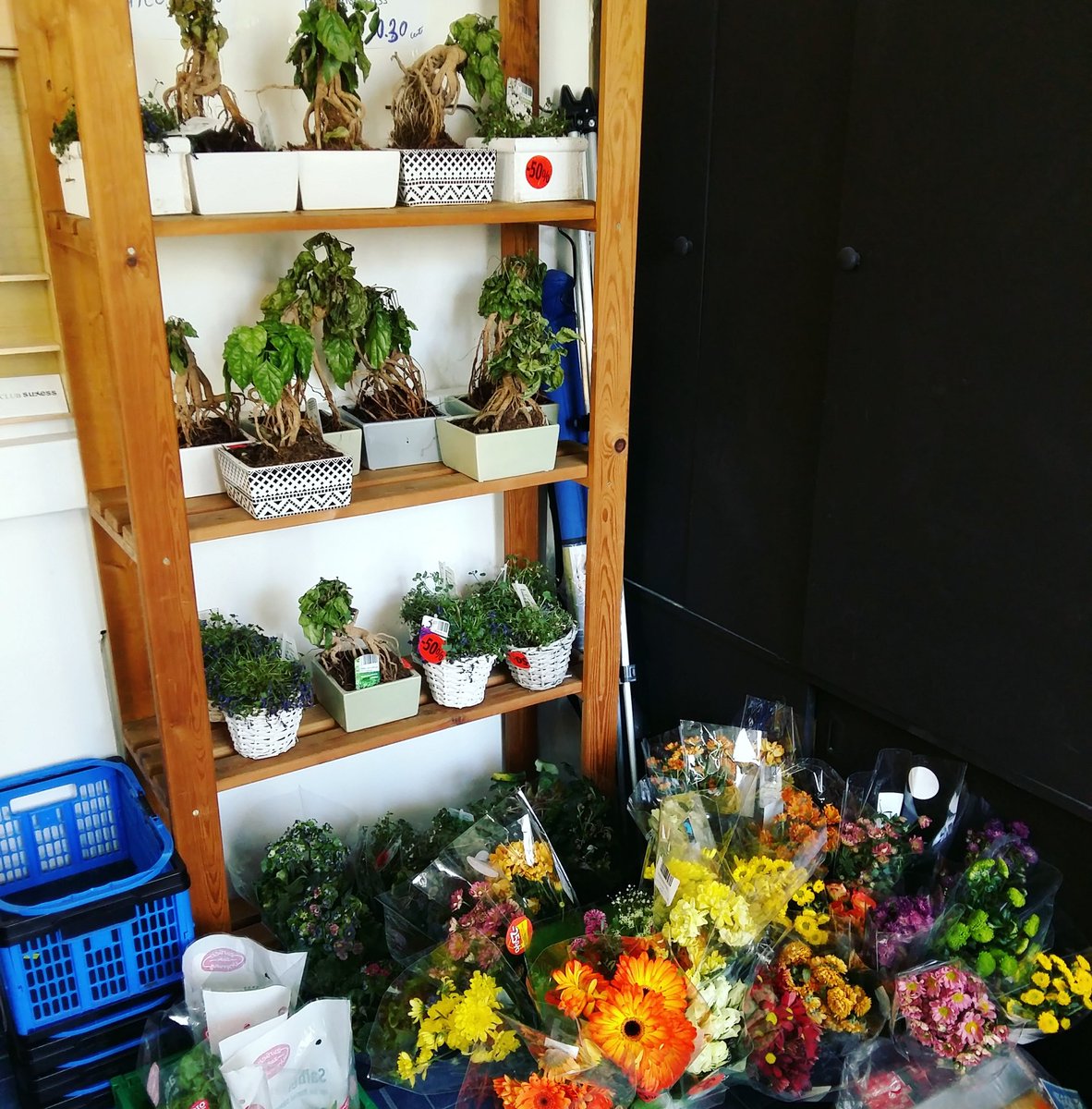 sozialmarkt's tweet photo. Es gibt heute ein paar 🌳🌱Pflanzen und 🌻🌼🌺⚘ bei uns :) #bonsai
#pflanzen
#blumen
#flowers
#Sozialmarkt
#lebensmittelretten
#wiederanfangsozialmarkt
#wiederanfang
#lebensmittel
#Wien

#Schuhmeierplatz 8, #1160 #Wien https://t.co/YkouhtWkDl