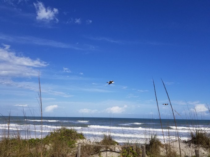 Watch Steven 🔞's leaked NSFW photo on TwXstars