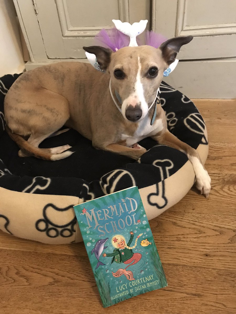 LucyCourtenay1's tweet photo. @ICanDrawDinos @jonesgarethp Itโs working over here #getpetsreading https://t.co/pBDDg91MMX