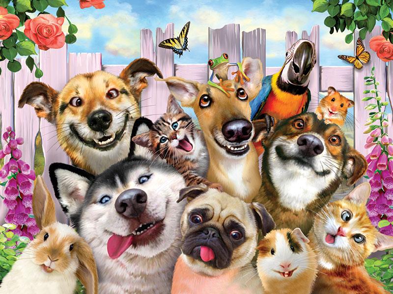 OrigMetalSignCo's tweet photo. It's Love Your Pet Day! Share your favourite pet pics and tell us why you love them 🐶🐰🐱 https://t.co/vOhUrQULtF