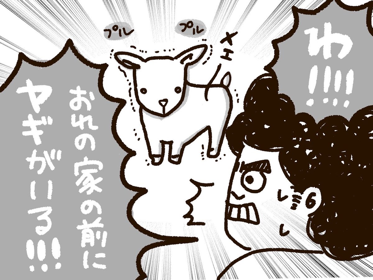 Honda Cars 沖縄 運天守の日常マンガ Vol 14 運天家に迷い込んだ 小さな子ヤギちゃん ヤギのことを沖縄の方言では ヒージャー と呼ぶんです 沖縄あるある クルマあるある ホンダあるある インスタ漫画 日常マンガ
