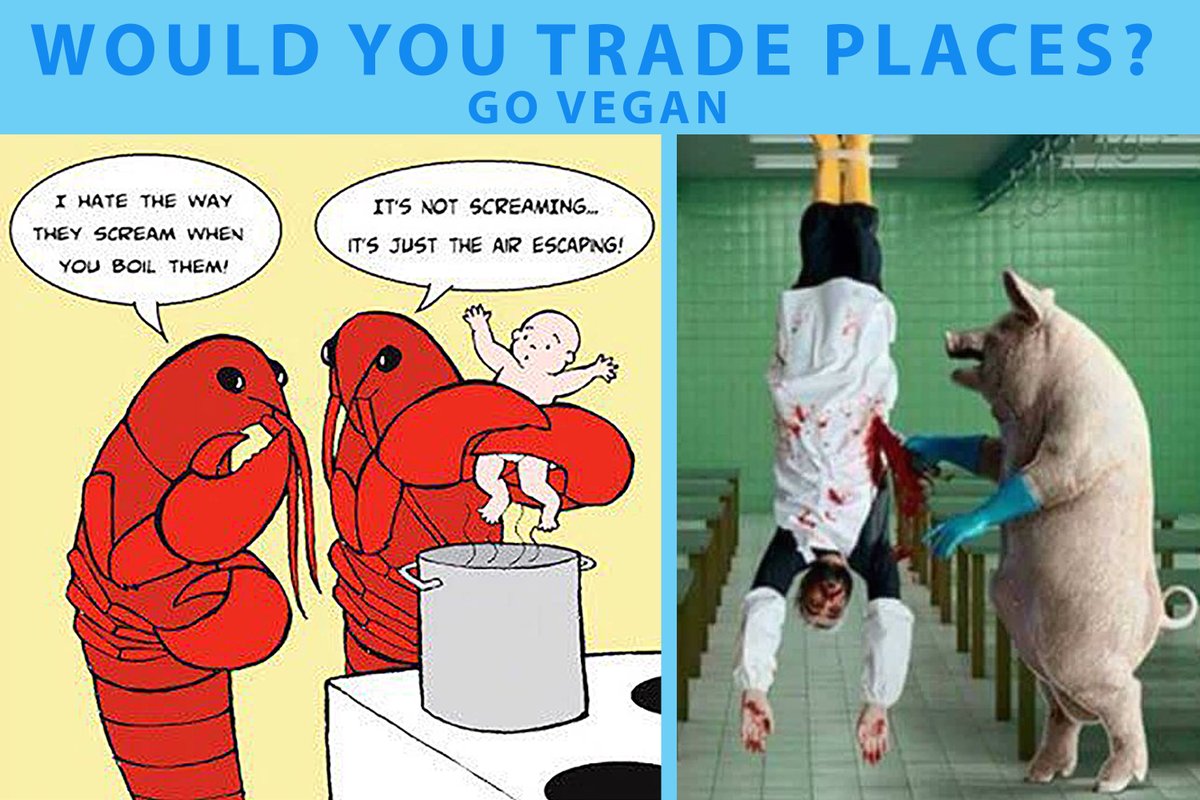 Did you know we are the luckiest #animals on earth🌎
Try being non-human &amp; see how that works out for you?🦞💔
If they could all animals would demand #AnimalRights🐷📢
They can't so it's up to us.

Go #Vegan🐾💕
Because trading places isn't an option🤯

<a href="/PeterEgan6/">Peter Egan</a> @Ivy_Middleton