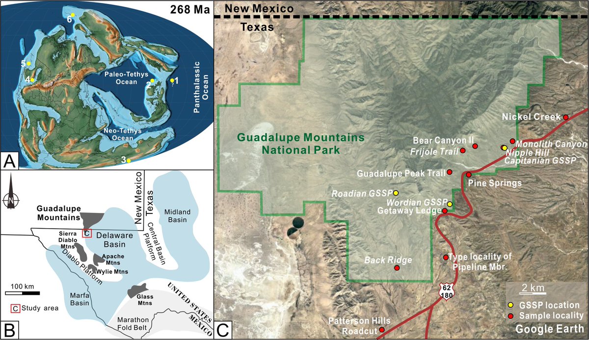 SShuzhong's tweet photo. New international timescale of the Guadalupian Series (Middle Permian).https://t.co/zP9emDq00T https://t.co/mRQUv2vcMw