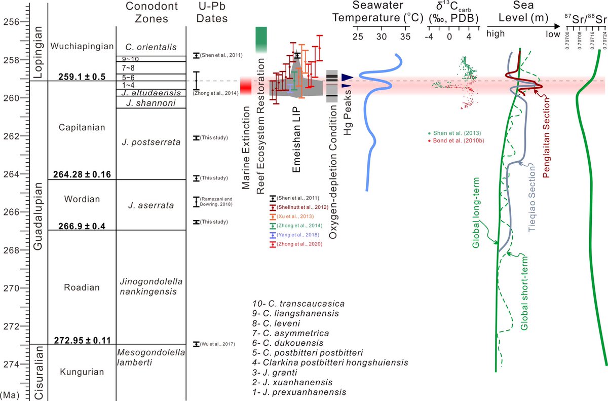 SShuzhong's tweet photo. New international timescale of the Guadalupian Series (Middle Permian).https://t.co/zP9emDq00T https://t.co/mRQUv2vcMw