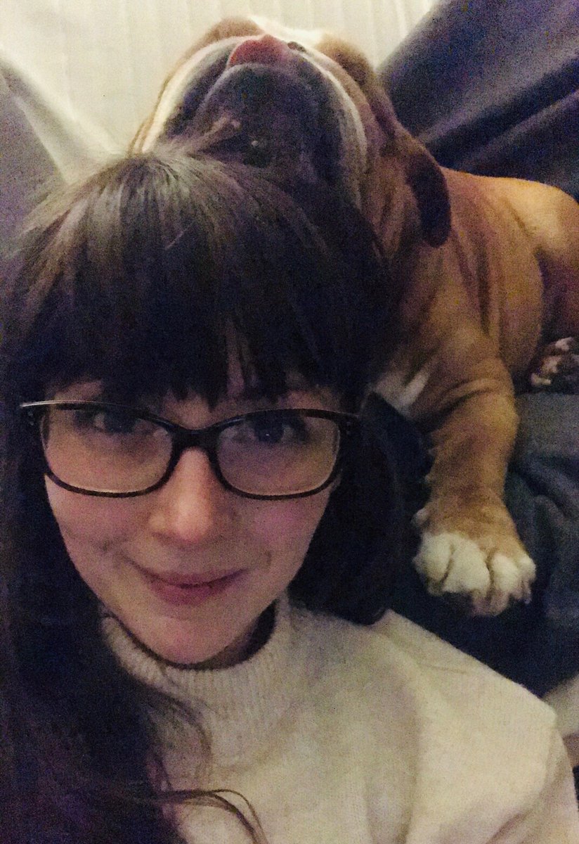 DrMeltwater's tweet photo. Happy #LoveYourPetDay to my best boy π₯° Iβm honoured to be his favourite chin rest #bulldogprobs #academicswithdogs #bulldogmama https://t.co/joyV7mOUYP