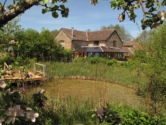Lucyenglish1's tweet photo. Reminding women writers about our writing retreat 15-17th April! We still have a few places left! Does your writing need a boost? Do you want to meet other women writers and feel nurtured and inspired! @lucyenglish @helensheppard https://t.co/oFS8iKs63w… https://t.co/mVAFs07ukT