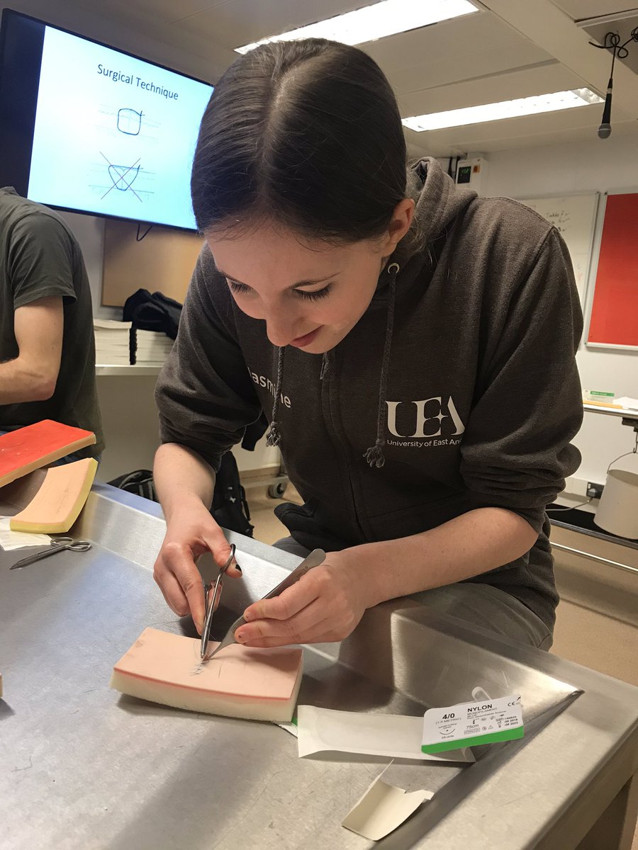 Uea_Anatomy's tweet photo. Last night saw bananas being sutured back together by @UeaMed students and learning new surgical/dermatological skills! #bananasforanatomy https://t.co/3Fix0DymzW