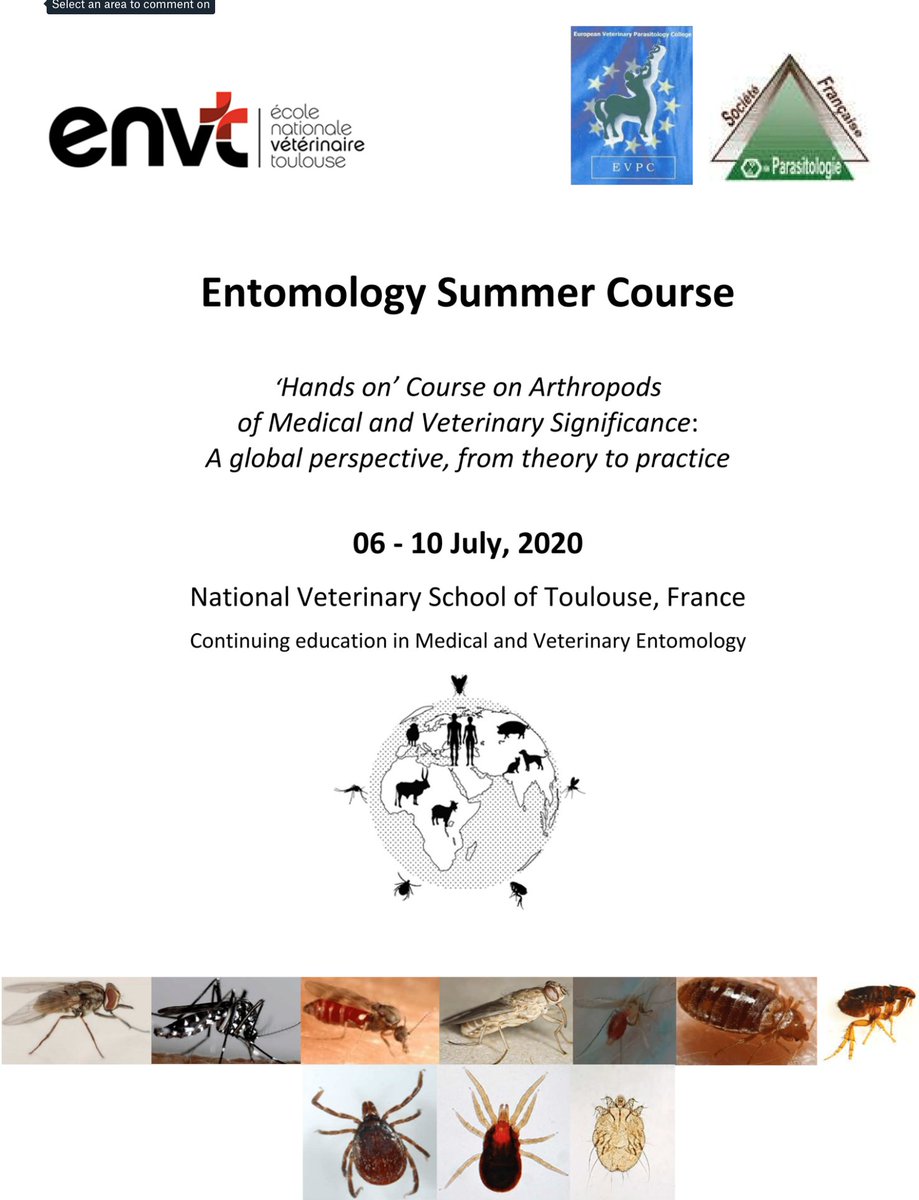infravec2's tweet photo. #SummerCourse: The Ecole Nationale Vétérinaire de Toulouse is hosting a #MedicalEntomolgy Course 6 - 10 July
#ArthropodBorneDiseases #LabRearing #MorphologicalIdentification #Sandflies #Mosquitoes #Culicoides #Ticks
Application Deadline: 15 April
Program: https://t.co/xhde721aTN https://t.co/wTW1XgJKPq
