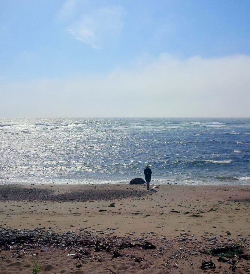BolandC's tweet photo. Summer thoughts on a cold February day! #thursdaymorning #summer #winter #beach #shallowbay #amwriting #WritingCommnunity @ParksCanadaNL @ParksCanada @GoGrosMorne @VikingTrail @NLtweets @ExploreNL @NLTourism https://t.co/zY170eGIsO