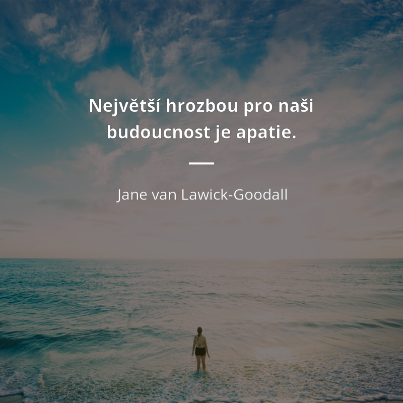 Citaty Net Auf Twitter Nejvetsi Hrozbou Pro Nasi Budoucnost Je