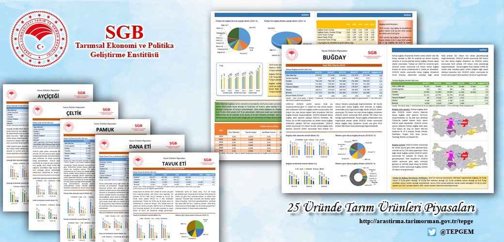 TEPGE tweet media