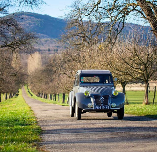 Is het geen plaatje?