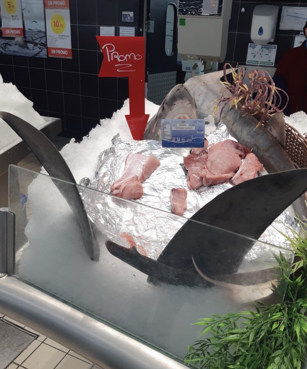 hugoclement's tweet photo. Magnifique culot ! @intermarche qui, rappelons-le, vend des espèces protégées (requin renard) ou issues de la surpêche sur ses étales, fait la promotion de la « pêche responsable ». https://t.co/8L9PWFReJY
