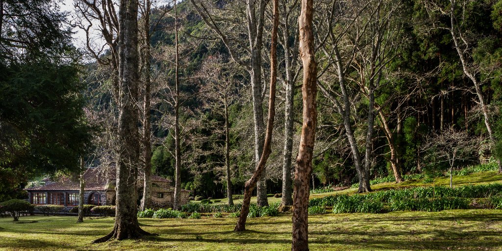 BensaudeHotels's tweet photo. The Casa de Chá (Tea House) is available to welcome your events up to 80 people. With a superb location, the margins of Lagoa das Furnas, enjoy nature in its purest form. More about our offer here: https://t.co/qhaD1ONAXO. https://t.co/AFapk6ef9O