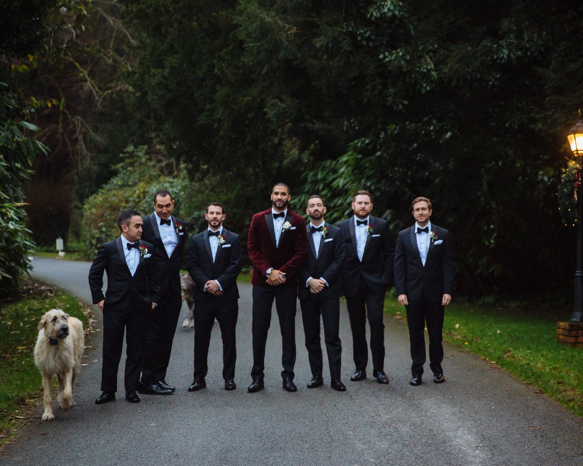 BallyseedeCastl's tweet photo. "Wait for us, we're coming!!!"🐶 Mr Higgins and Molly love photobombing our wedding guests whenever they can 😂
#IrishWolfhound #Pets #Dogs #OriginalIrishThursday #CastleDogs #DiscoverBallyseede #LoveYourPetDay https://t.co/reX1p2qegB