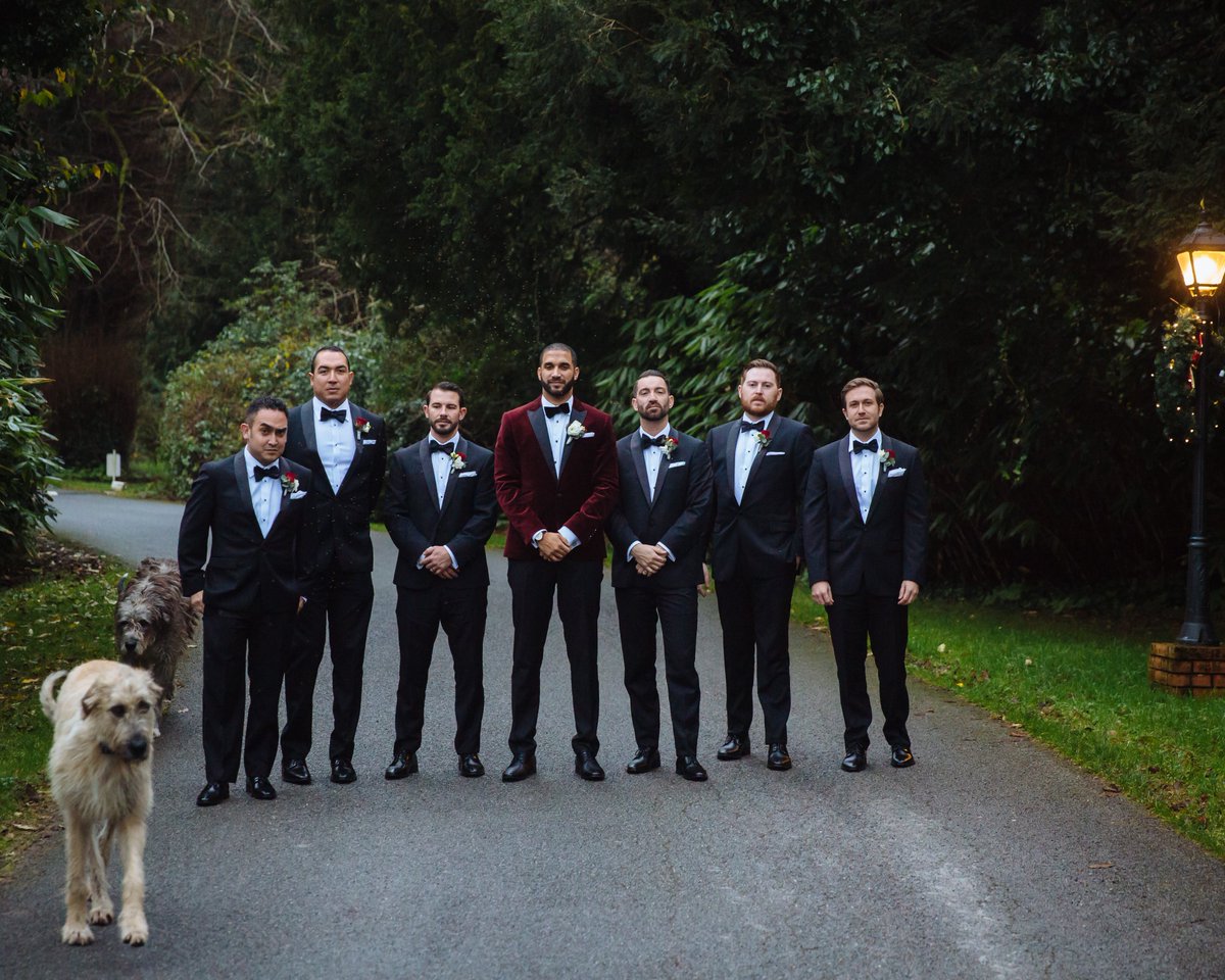 BallyseedeCastl's tweet photo. "Wait for us, we're coming!!!"🐶 Mr Higgins and Molly love photobombing our wedding guests whenever they can 😂
#IrishWolfhound #Pets #Dogs #OriginalIrishThursday #CastleDogs #DiscoverBallyseede #LoveYourPetDay https://t.co/reX1p2qegB