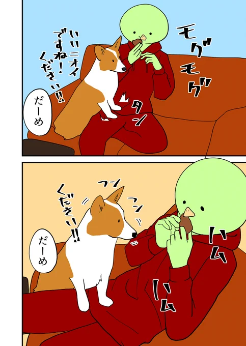 コーギーの前でお菓子食う!!! 