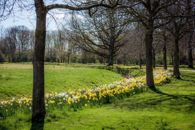 Date for your diary Ditchingham Garden Open Day in Support of <a href="/yanafarming/">YANA</a> Sunday 19th April 2pm to 5pm £5 NR352JX