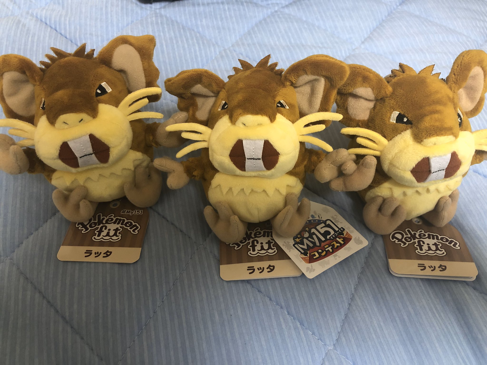 幸 さち Hakuinopetenshi Twitter