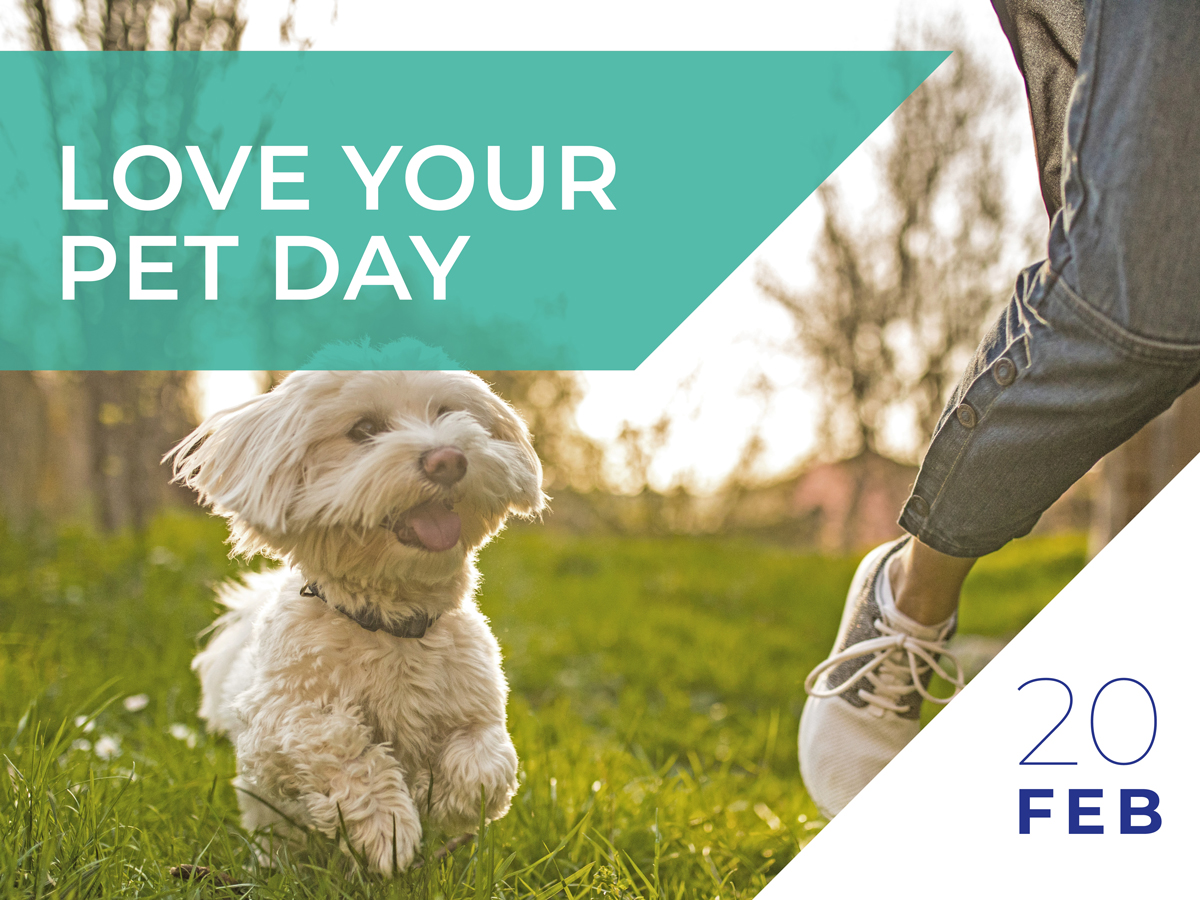 Brookgreenvets's tweet photo. February 20th is Love Your Pet Day and it’s a great day to show your love for our little furry friends. Whether you’re a cat lover or a dog lover, today’s the day to spoil them even more than you normally do and show them how much they mean to you. https://t.co/d1nAfb2kfk