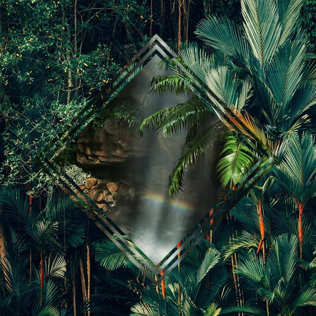 Discover your inner Scent Landscape @scentuition 🌊🌿🔥🌬 ift.tt/3bNiiid