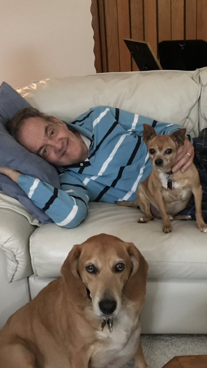 NorbertNadel's tweet photo. I'm honored to be endorsed by "Pets Against High Property Taxes". They are concerned their families being forced from their homes by out of control property taxes. #Nadel4Recorder #petsagainsthighpropertytaxes https://t.co/lKkXVV8aXf