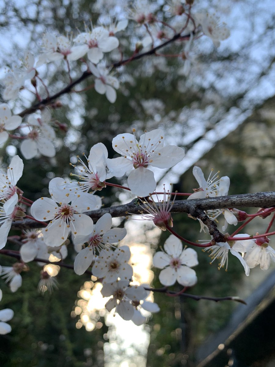 What a beautiful end to the day 🌞