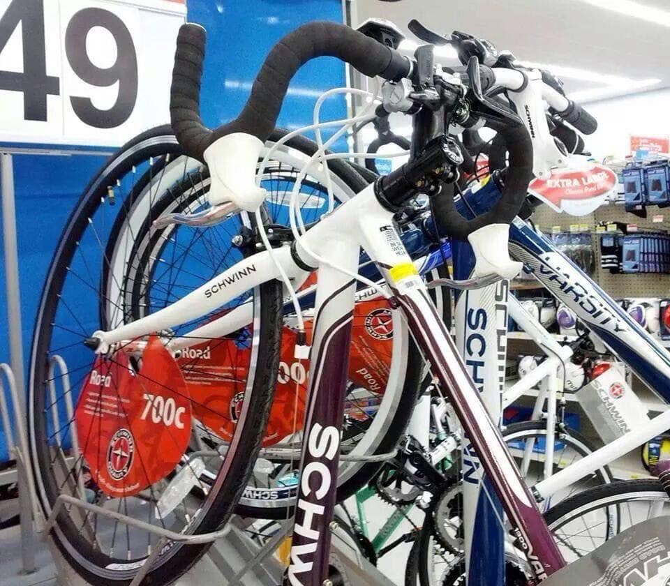 schwinn santis review