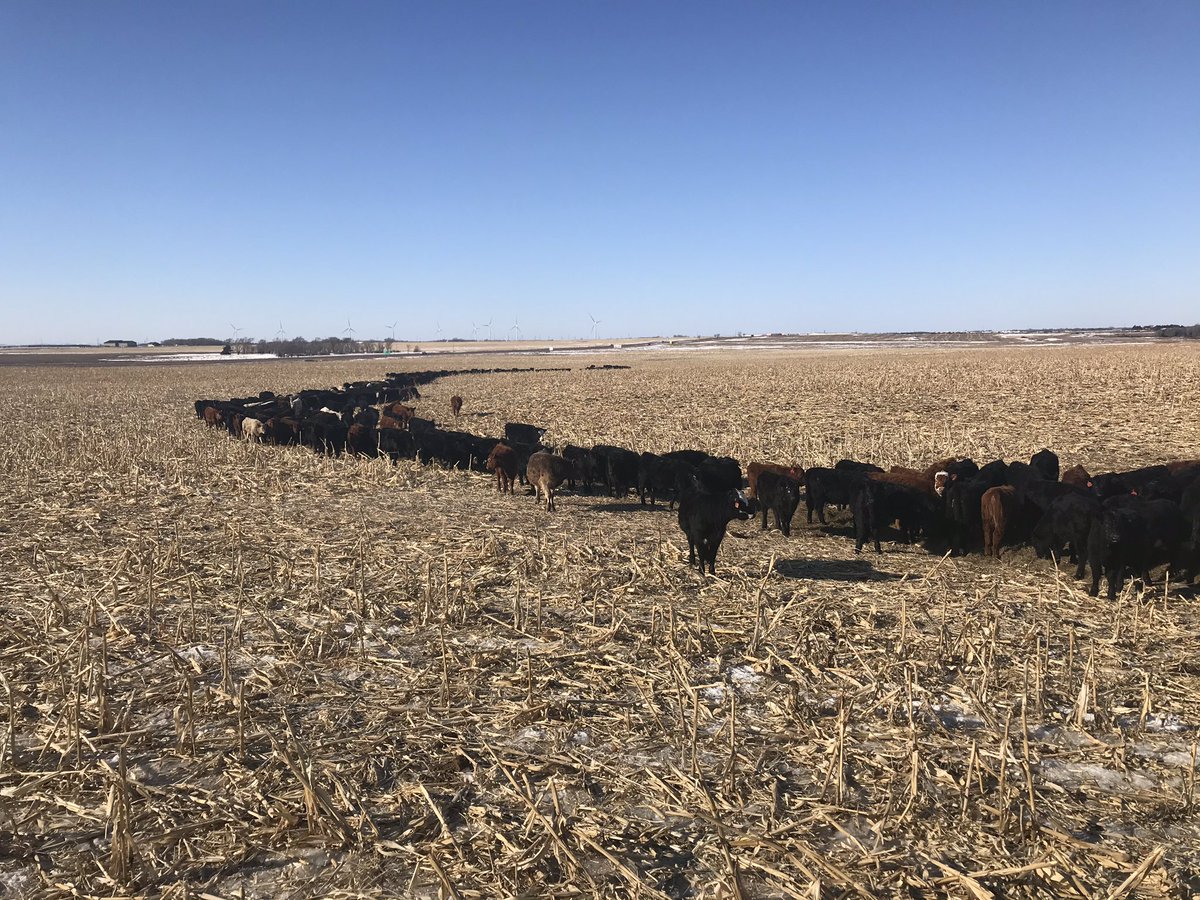 Does using the wash out for a feed bunk count as sustainable agriculture??
