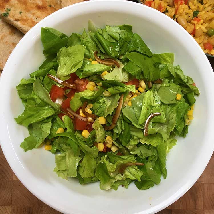 CWKSantaFe's tweet photo. Check out this supercool @truefoodtv video on hydroponics: https://t.co/5LywpBXup5 Thanks to NM farmers &amp; hydroponics, our kids made this Valencian salad with LOCAL veggies this winter! https://t.co/s95cmZL3Oz).  #cookingwithkids #healthyrecipes #eatlocal #farmtoschool #nmda https://t.co/Is72Lo9EEQ