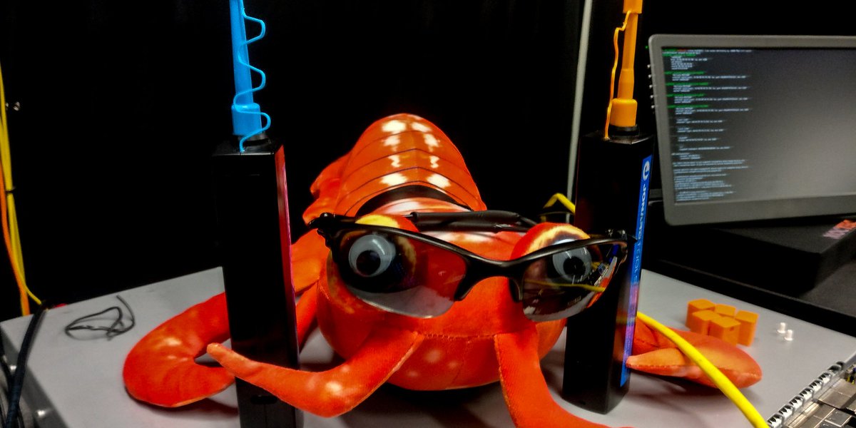 NOCTEC_io's tweet photo. Official @NOCTEC_io Mascot.
#shrimp https://t.co/FNLuF2NWLz