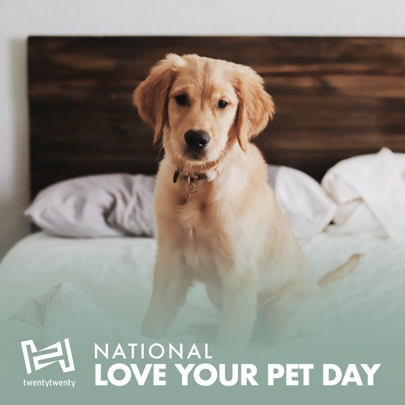 TwentyTwentyPdx's tweet photo. Living without our pets? ImPAWSible 🐾 Happy #NationalLoveYourPetDay! 

Learn more about our pet-friendly 1 and 2 bedroom apartments for rent: https://t.co/Ekzuu24MRr  

#nationalloveyourpetday #loveyourpet #pdx #ripcity #pacificnorthwest https://t.co/x8wmzNdXEy