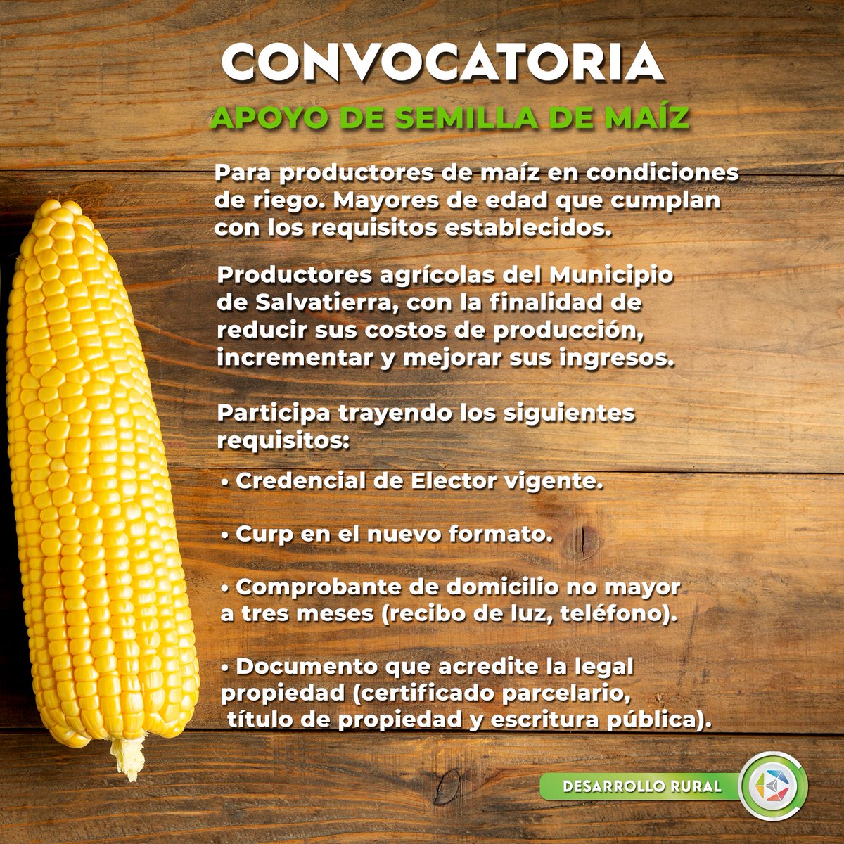🚜 Amigo productor de Maíz 🌽

Te invitamos a participar en esta convocatoria "Apoyo de Semillas de Maíz".

Mayores informes acude a la oficina de Impulso al Campo al interior de Presidencia Municipal o comunícate al 6630937 ext. 111.

#ImpulsandoElCampo #SalvatierraVaEnGrande