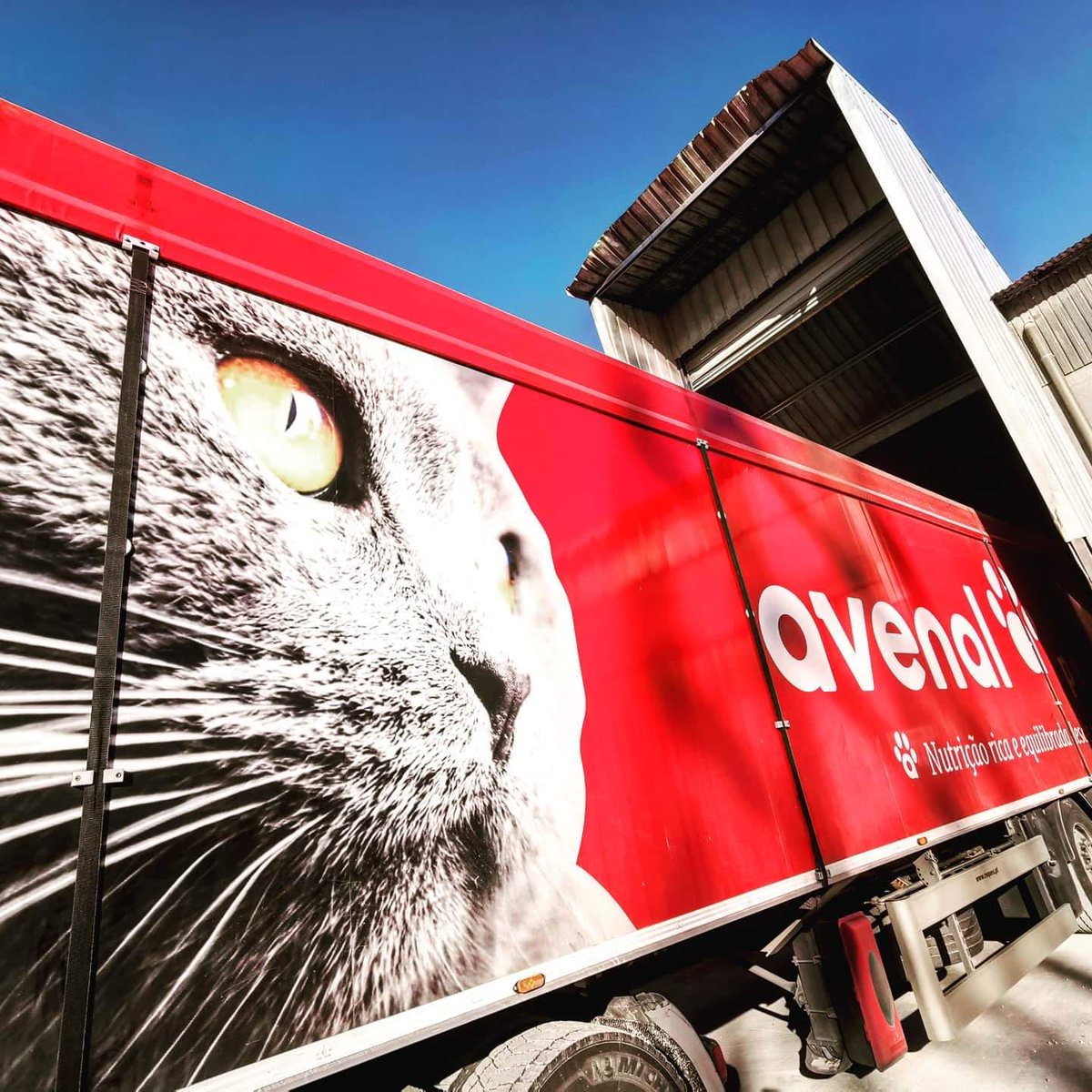packinbag's tweet photo. 👷♂️#EQUIPAMENTO #packinbag 💪 entregue 🚛 nas #CaldasDaRainha📍 no nosso cliente 🤝 #AvenalPetFood
.
A Rações Avenal💯 comercializa as seguintes marcas🐕🐈Fluffy, Spike, Avenal, Vivo, Major e Furacão.
.
#equipamentosindustriais
#engenharia
#produçãoutomatizada
#robots https://t.co/u59xFcjHd5