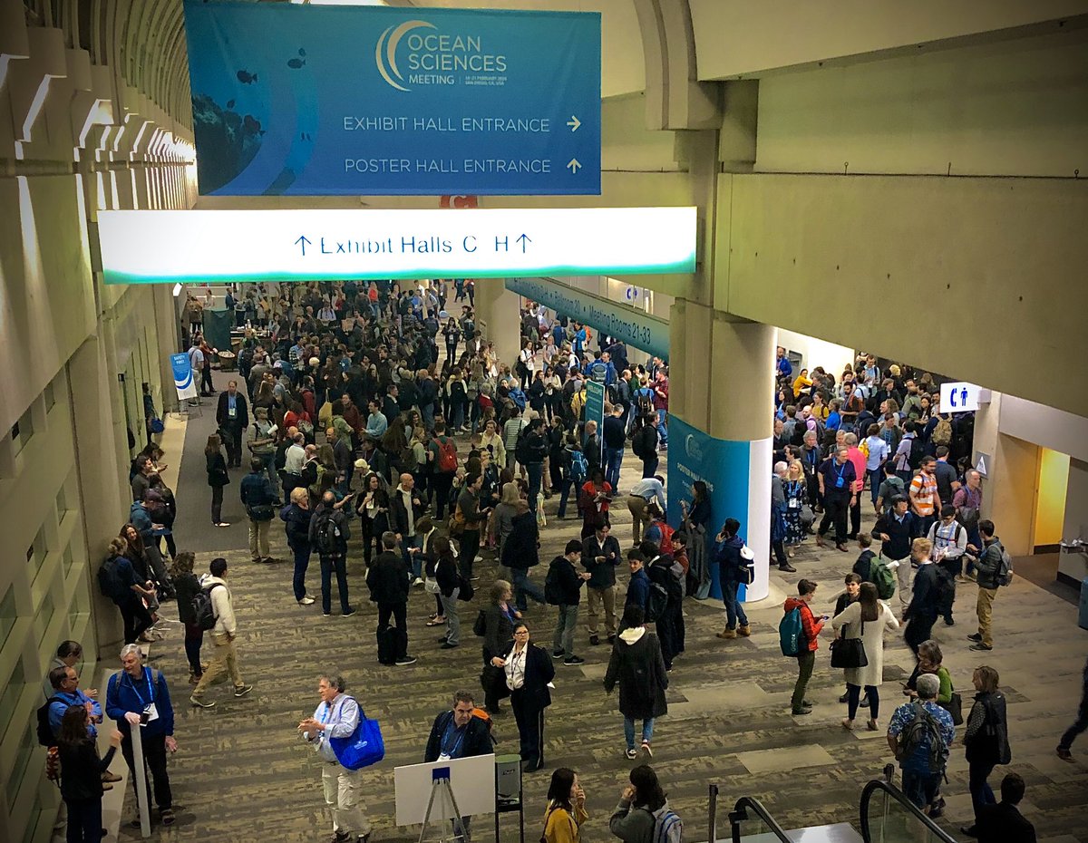 Becca Guillote tweet media