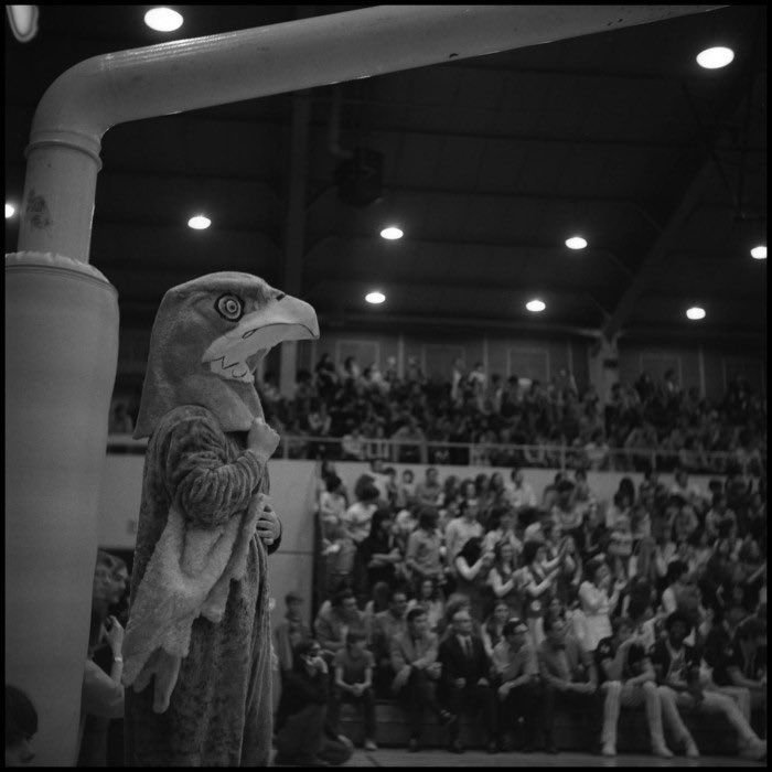 UNTUnion tweet picture