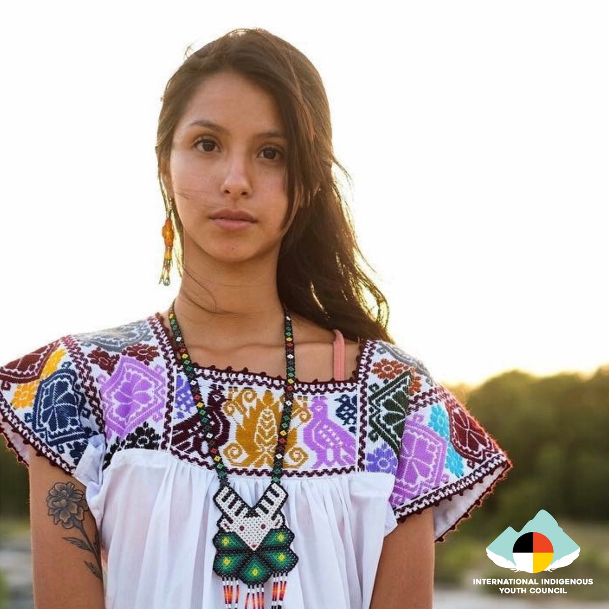 IIYCfamily's tweet photo.
- IIYC Member Spotlight -
✧ Mazahuatl Martinez ✧
Texas Chapter
Mazahuatl, #Nahuatl for Water Deer, was born in Mankato, Minnesota & has been a #Mexica (Azteca) Dancer since being in the womb of her Mother.
#MemberSpotlight #IndigenousYouth #IIYC #Indigenous https://t.co/1PXV0NIc7R