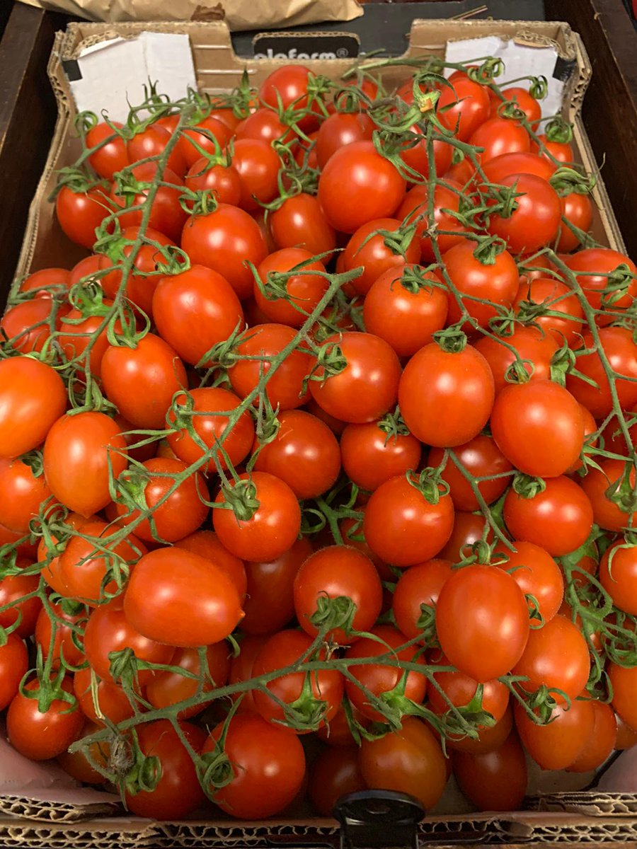 Plum tomato vines £5.50 per kg