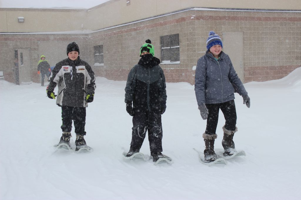 New York Mills Public School tweet media