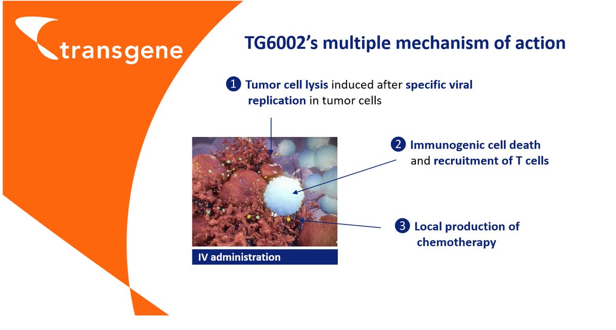 TransgeneSA's tweet photo. First Patient Dosed with @TRANSGENE’s #TG6002, an oncolytic virus that enables the production of chemotherapy in the tumor https://t.co/9uweI4rjxd