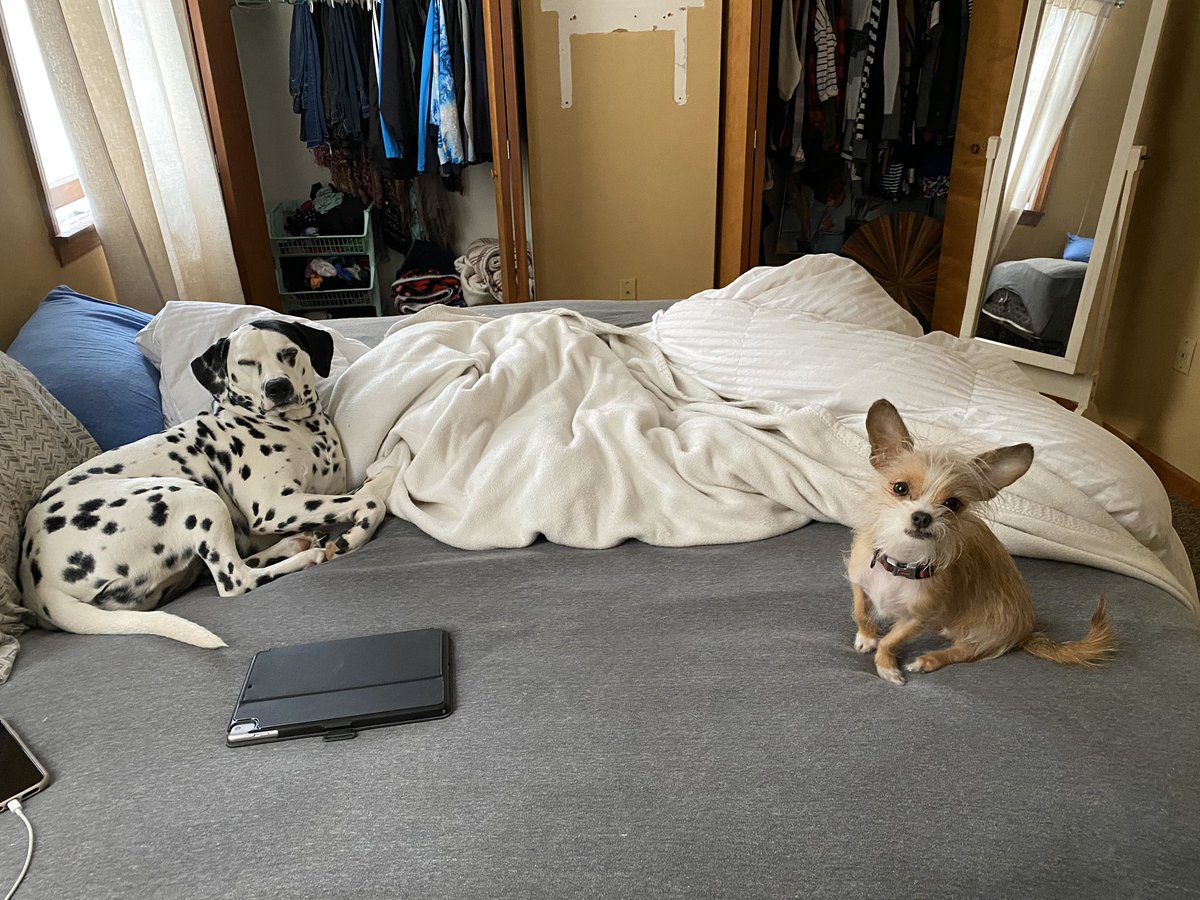 #POWerpets #WoW love your pets! Kodi and Clara the two best pups! #TeamPOWer #LeadHER #POWHER @caylawharton_ @oliveiramikeO <a href="/WilliamGStovall/">William Stovall</a> <a href="/jerryfornwalt/">Jerry Fornwalt</a>