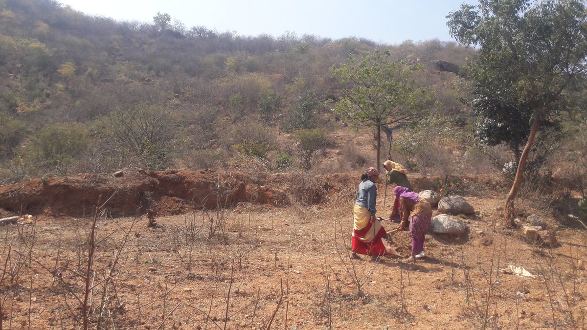 AmbothRaju1's tweet photo. Mgnregs land levelling work https://t.co/X1DeuWwl2M