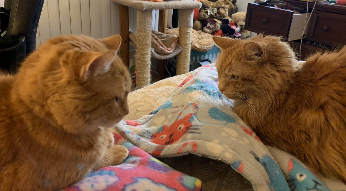 Where is my secret service when I need it my side it out for me this morning