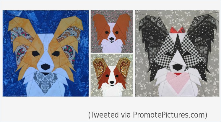 Papillon - Dog Quilt block pattern #selenaquiltdesign #papillondog #dogquiltblock #quiltblockpattern #paperpiecingquilt #dogquiltpattern #animalquiltpattern #babyquiltpattern #dogquiltdecor #papillonlover 
payhip.com/b/Cy1x
(Tweeted via PromotePictures.com)